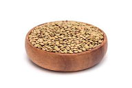 عدس روسی درجه یک